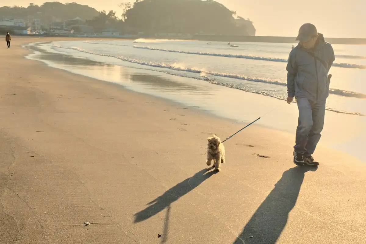 Mann geht mit sienem Hund am Strad spazieren